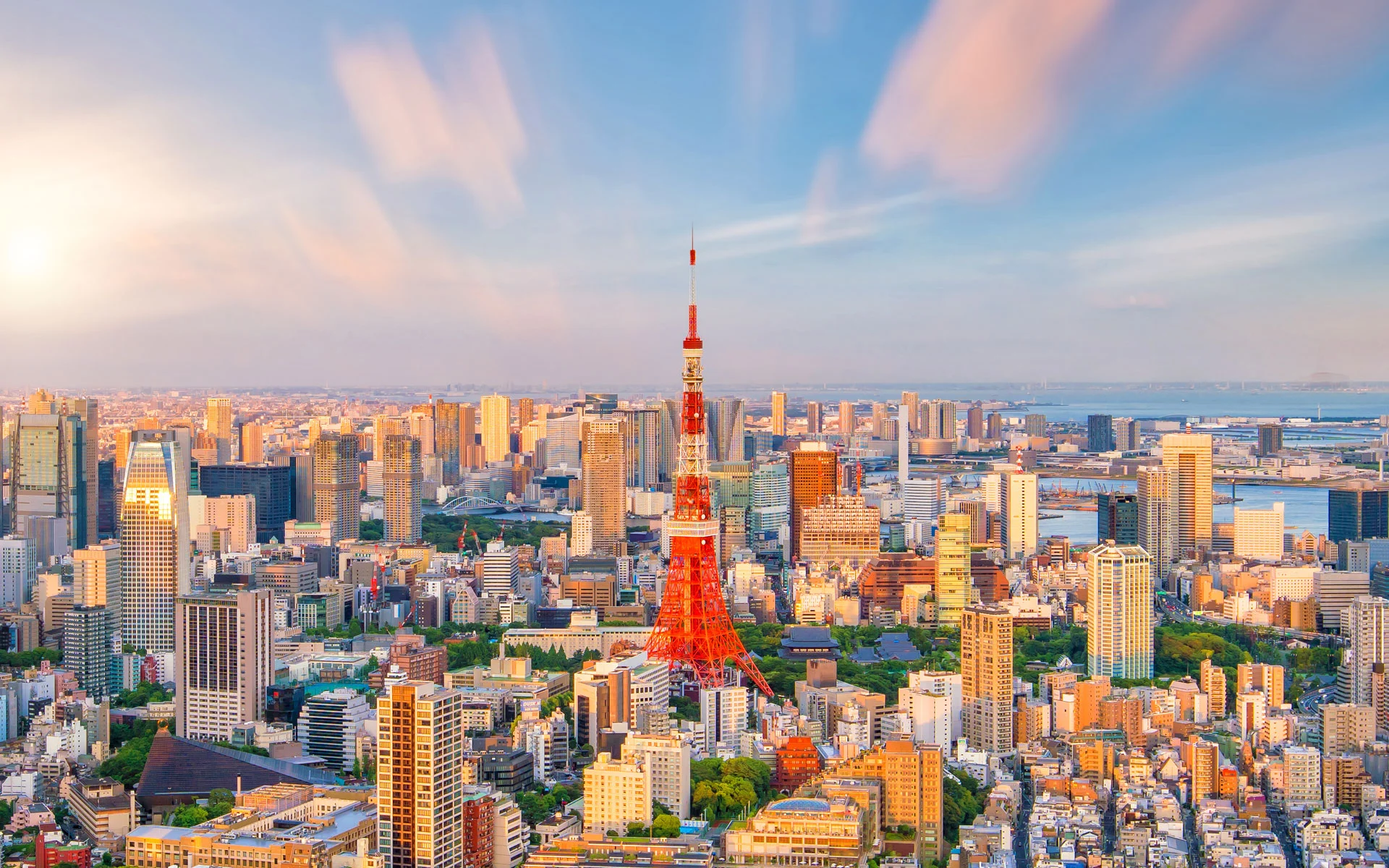 日本留学
